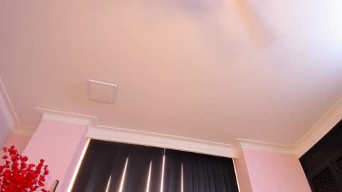 Rachel online show from December 23, 3:01 pm