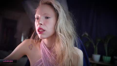 ada online show from November 7, 9:42 am