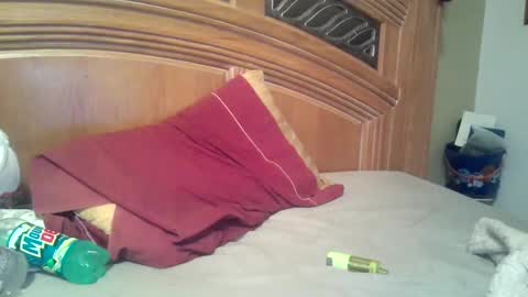 hitman online show from November 2, 10:39 am