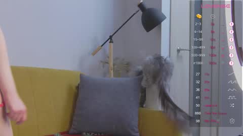 Mei online show from September 26, 3:10 am