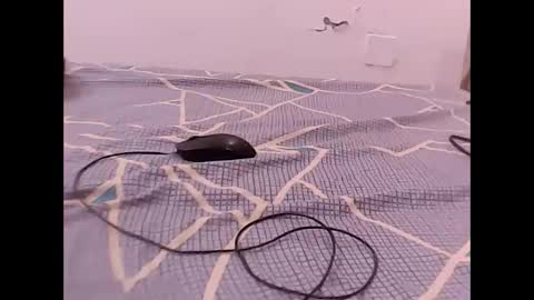 Snapshot of raman5454 chatting on December 1, 4:56 pm RAMAN online show from December 1, 4:56 pm