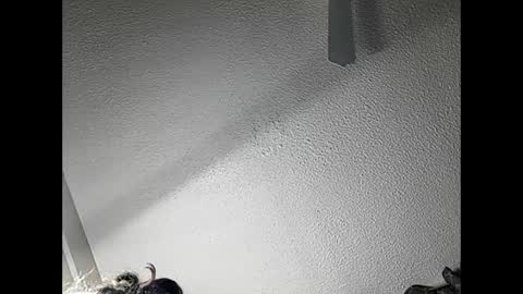 Snapshot of ramonajas chatting on February 21, 4:51 am RamonaJ online show from February 21, 4:51 am