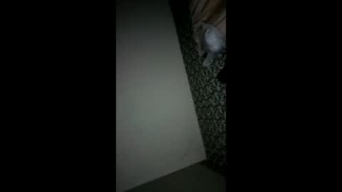 randallcody15 online show from October 6, 11:24 pm