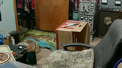 Randall online show from November 23, 11:26 pm