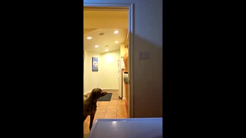 randmorty4 online show from January 15, 4:28 am