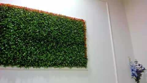 Rania online show from January 17, 8:23 pm