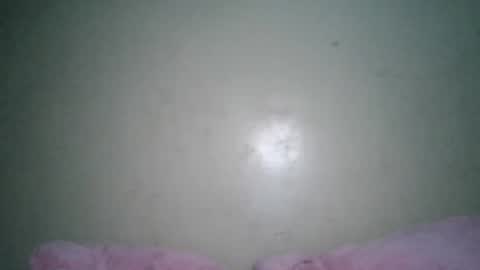 Snapshot of raseria chatting on February 3, 7:13 am raseria online show from February 3, 7:13 am