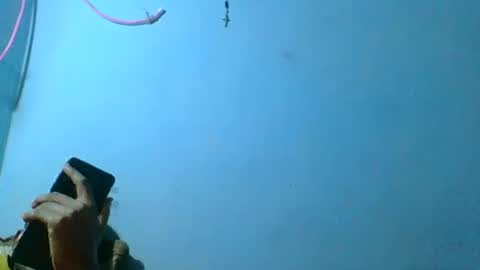 rasoelysca online show from March 1, 4:47 am