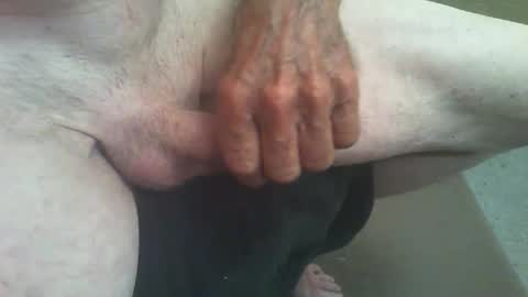 Snapshot of rattcatt chatting on May 13, 1:41 pm rattcatt online show from May 13, 1:41 pm