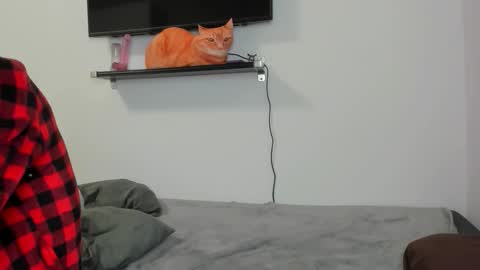 Raveneusbiter online show from February 10, 11:25 am