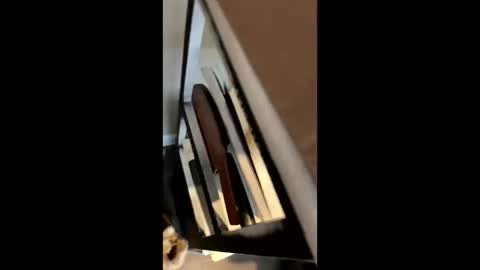 Snapshot of ravenxbeastie chatting on February 17, 8:58 pm ravenxbeastie online show from February 17, 8:58 pm