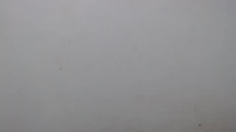 Ray  online show from February 1, 2:16 am