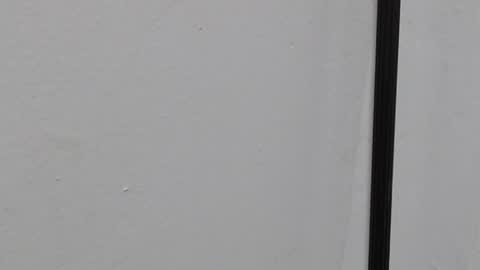 Ray  online show from March 22, 10:40 am