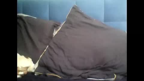 Snapshot of rayday_ chatting on March 9, 2:10 pm rayday_ online show from March 9, 2:10 pm