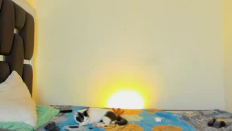 Rayn online show from November 5, 4:40 pm