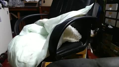 Snapshot of raysmith77777777 chatting on April 29, 11:03 am Ray online show from April 29, 11:03 am