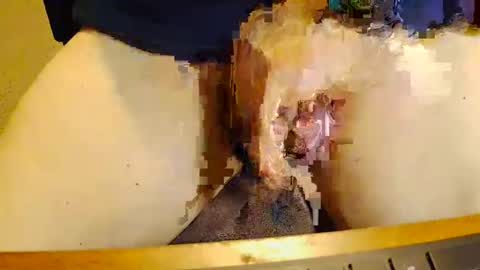 Snapshot of rb69er905364 chatting on November 17, 10:04 pm rb69er905364 online show from November 17, 10:04 pm