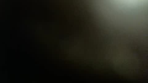 Snapshot of rdyforitall chatting on December 10, 1:32 am Mr Nice online show from December 10, 1:32 am