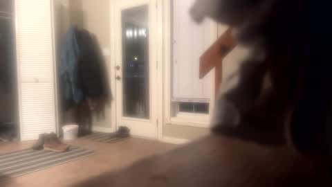 Snapshot of rdyforitall chatting on December 10, 6:22 am Mr Nice online show from December 10, 6:22 am