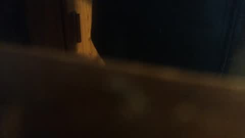 Snapshot of rdyforitall chatting on January 4, 1:21 am Mr Nice online show from January 4, 1:21 am