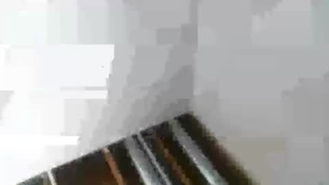 Snapshot of rdyforitall chatting on January 6, 2:48 am Mr Nice online show from January 6, 2:48 am