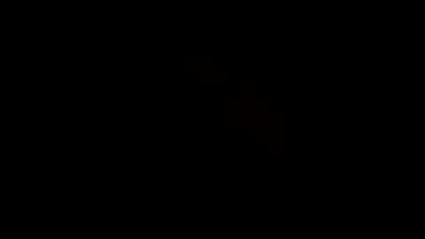 Snapshot of rdyforitall chatting on January 6, 9:52 am Mr Nice online show from January 6, 9:52 am