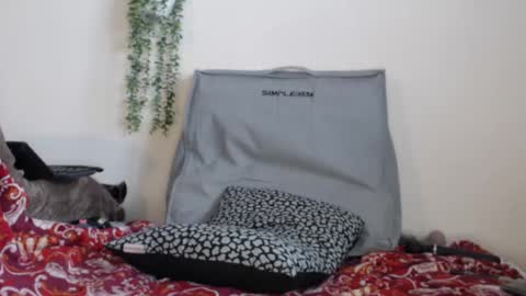 Fannie online show from February 24, 4:15 pm