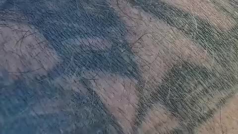 realrubpirate online show from September 9, 9:31 am