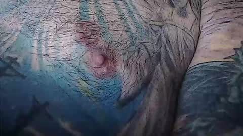 Snapshot of realrubpirate chatting on February 3, 9:03 am realrubpirate online show from February 3, 9:03 am