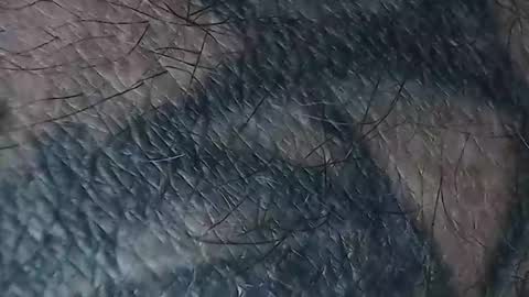 Snapshot of realrubpirate chatting on March 18, 8:50 am realrubpirate online show from March 18, 8:50 am