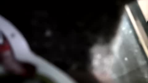 reba21 online show from February 1, 11:58 pm