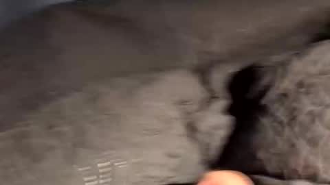 Snapshot of rebornbutbored chatting on November 15, 11:40 am rebornbutbored online show from November 15, 11:40 am