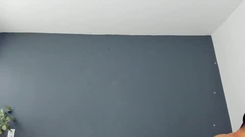 twitter REECET26 instagram RECCETAYLOR online show from November 7, 3:45 pm