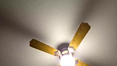 Snapshot of red24devils chatting on February 18, 12:50 am red24devils online show from February 18, 12:50 am