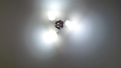 Snapshot of red_fox777 chatting on February 12, 1:17 pm Lisa online show from February 12, 1:17 pm