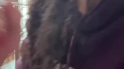 redfloweer online show from September 28, 7:41 pm