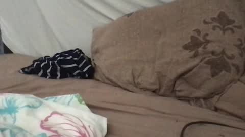 Snapshot of redfoxofficial chatting on July 4, 9:59 am Redfox online show from July 4, 9:59 am