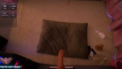 Redhead Shark online show from February 22, 1:20 pm