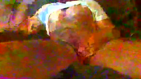 redtxchopper online show from November 18, 1:33 am