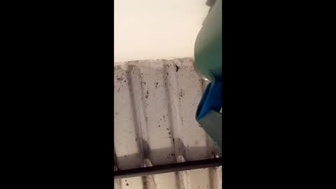 reinft online show from March 1, 10:06 am