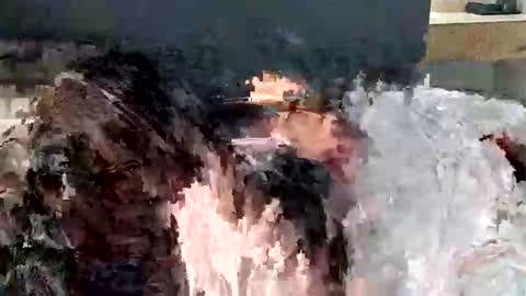 Snapshot of renaexx03 chatting on September 28, 2:28 am renaexx03 online show from September 28, 2:28 am