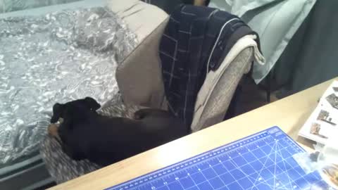 reunionussr online show from November 16, 4:45 pm