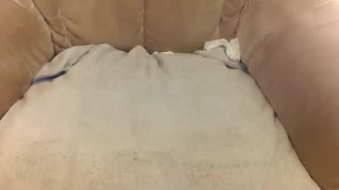 Mark online show from March 22, 8:07 am