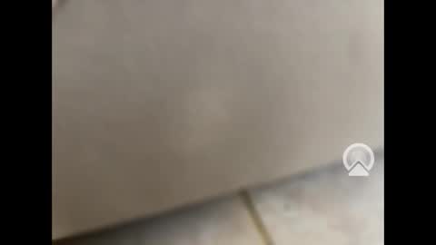 rgoggler2 online show from January 28, 1:59 pm