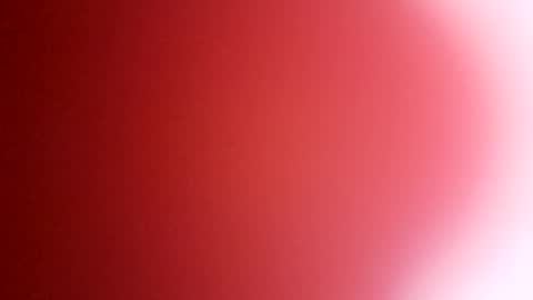 rhino69xx online show from December 8, 6:54 am