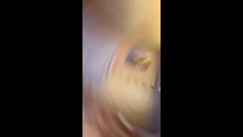 Snapshot of richtarus chatting on February 15, 10:50 pm Gunman online show from February 15, 10:50 pm