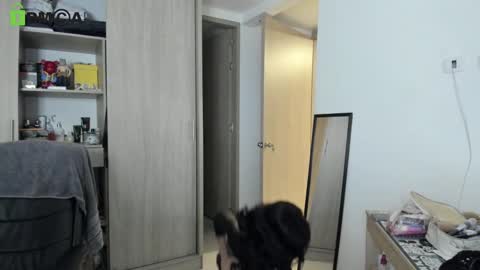 RickyDicot 13 online show from September 27, 2:05 am