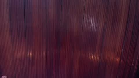 Snapshot of riley_reid_19 chatting on December 16, 2:05 pm kamila online show from December 16, 2:05 pm