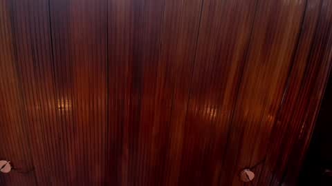 Snapshot of riley_reid_19 chatting on December 24, 2:12 pm kamila online show from December 24, 2:12 pm