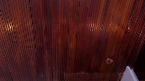 Snapshot of riley_reid_19 chatting on January 10, 2:13 pm kamila online show from January 10, 2:13 pm